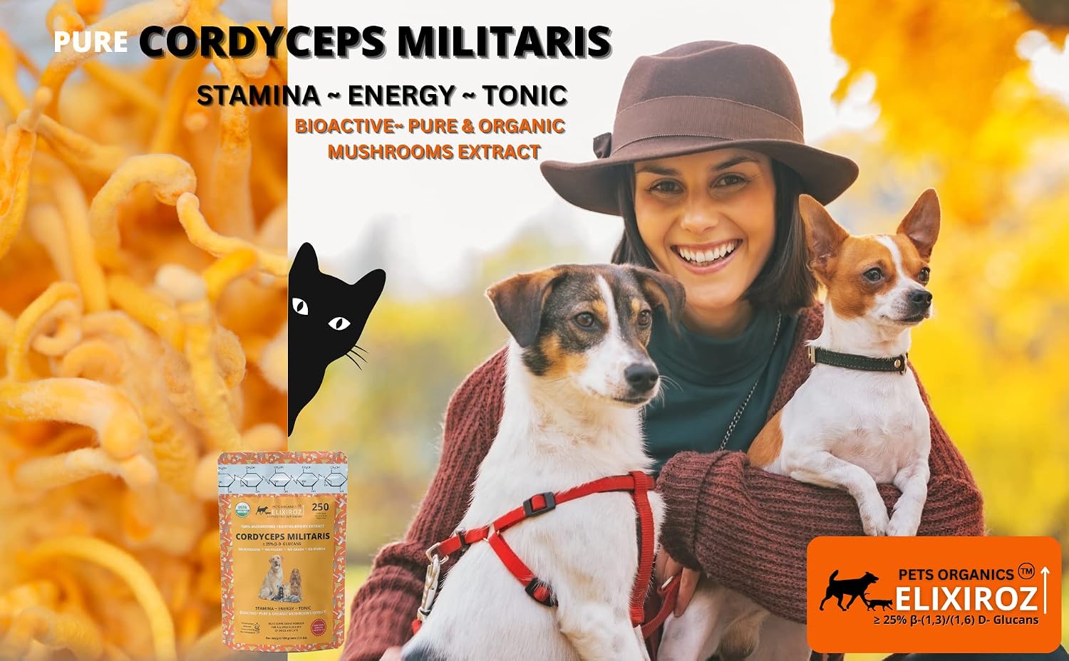 Cordyceps Mushroom Extract for Dogs & Cats – 25%+ Beta Glucans – Fruiting Body (8:1–12:1 Concentrated) – Energy, Stamina & Vitality Support – No Fillers – 250 Servings - görsel 7
