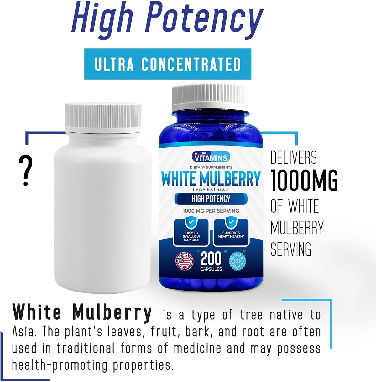 White Mulberry 1000mg 200 Vegan Capsules – White Mulberry Leaf Extract Supplement - görsel 5