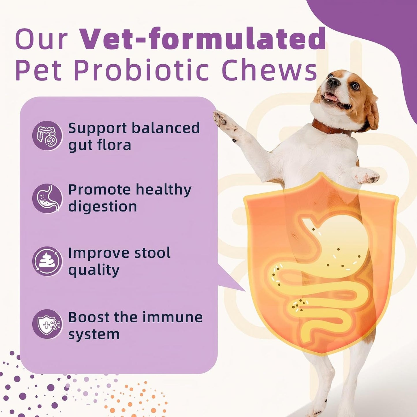 ZEBORA Probiotics for Dogs, Dog Probiotics for Digestive Health, with Pumpkin, Digestive Enzymes, Omega-3, Support Gut, Immune Health, Digestive Upset Relief, Occasional Diarrhoea, 120 Freeze Dried Chews - görsel 2