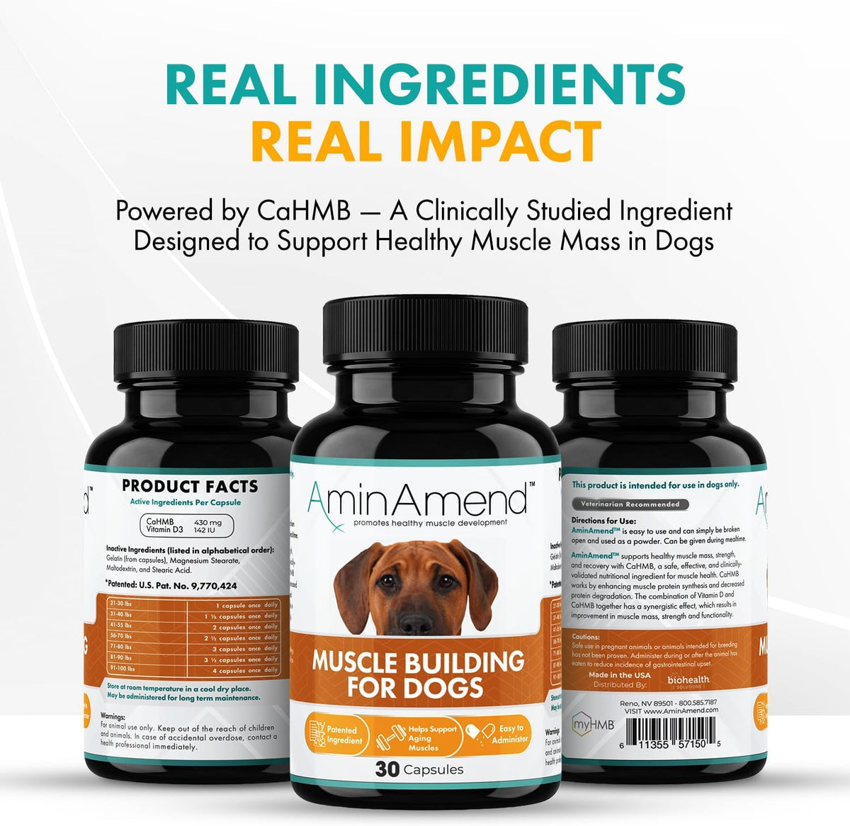 AminAmend Dog Muscle Supplement for Large Breeds – CaHMB & Vitamin D3 (30 Capsules) – Image 5