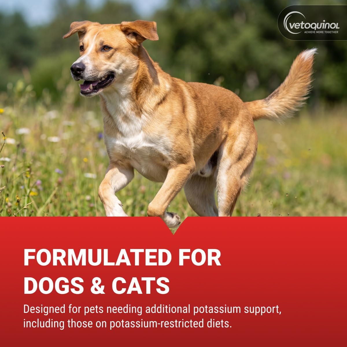 Vetoquinol Renal K - Potassium Supplement Powder for Dogs & Cats - Supports Kidney Health - 99g - görsel 4