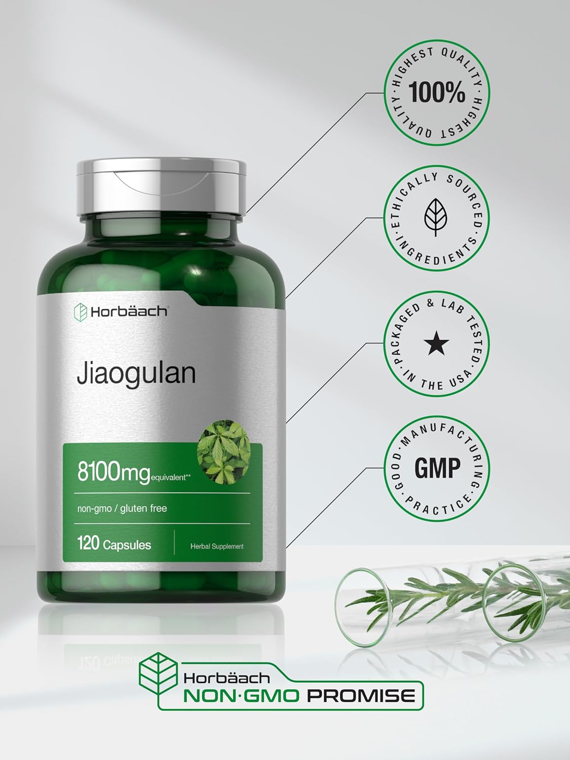 Horbäach Jiaogulan Capsules, 120 Capsules – Gynostemma Pentaphyllum Herbal Extract - görsel 6