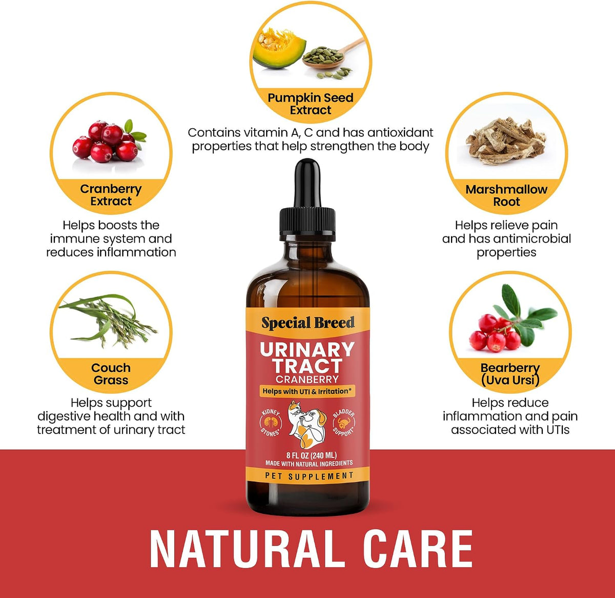 Cat and Dog Urinary Tract Infection Treatment – Natural UTI Relief with Cranberry Drops – Kidney and Bladder Support – Helps Incontinence, Frequent Urination, Bladder Stones – Pet Renal Care Drops - görsel 2