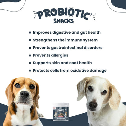 Bruno & Lukas Probiotic Chews for Dogs – Digestive Health & Gut Flora Support, 90 Chews