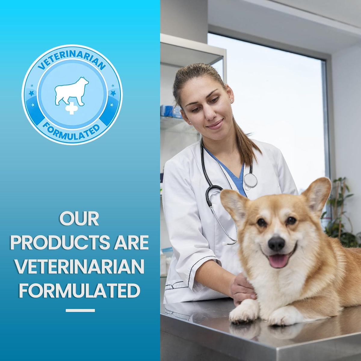 Replenish Urinary Tract Chews for Dogs - Cranberry Extract - 60 Chews - görsel 7