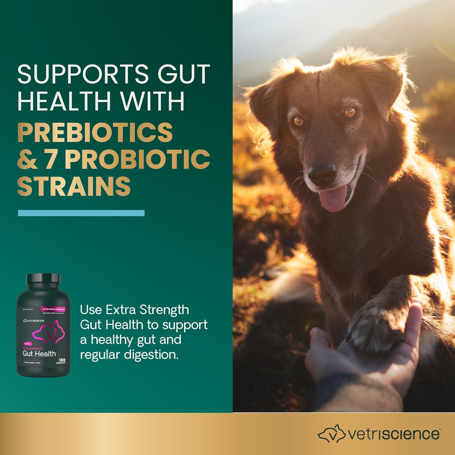 VetriScience Extra Strength Gut Health Probiotic & Prebiotic for Dogs & Cats, 180 Capsules - görsel 3