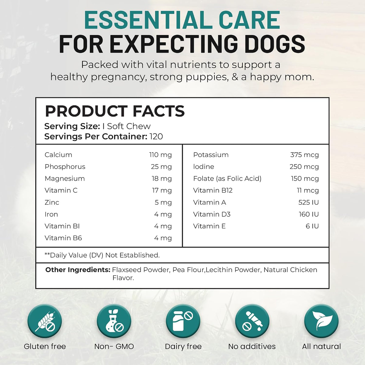 Dog Vitamins and Supplements - Chewable Prenatal Vitamins for Large and Small Breeds - Multivitamin for Health Support and Development - 120 Soft Chews - görsel 8