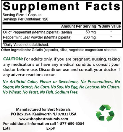 Best Naturals Peppermint Oil 250 mg - 120 Capsules (Pack of 3)