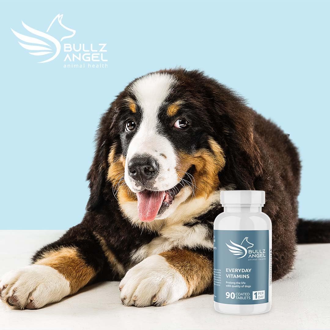 Everyday Vitamins for Dogs - Dog Uses - Healthy Life - Essential Vitamins - Amino Acids - Natural Ingredients - Daily Uses - görsel 4