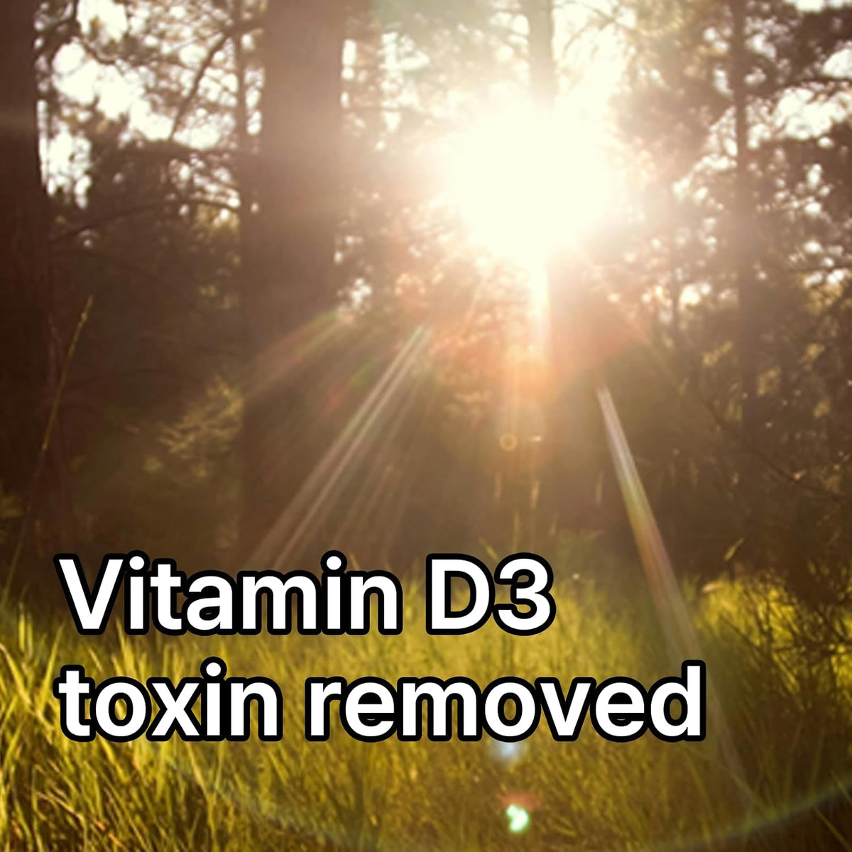 Waikiki | Vitamin D3 & Okinawa Coral Calcium | Bone, Teeth & Joint Health | Immune Function | Magnesium & Trace Minerals | 120 Capsules - görsel 3