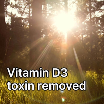 Waikiki | Vitamin D3 & Okinawa Coral Calcium | Bone, Teeth & Joint Health | Immune Function | Magnesium & Trace Minerals | 120 Capsules