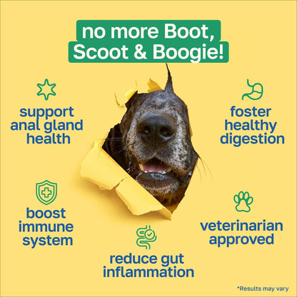 Happy Paws Scoot Stop Dog Chews, Anal Gland Support for Dogs, Soft Chews with Coconut Oil, Pumpkin, Sweet Potato & Sea Kelp for Healthy Digestion, Organic, Non-GMO, Vegan, Chicken Flavour, 200 Count
