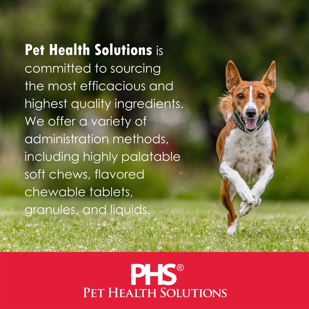 Pet Health Solutions Derm Tabs Regular Strength for Dogs – 720 Chewable Tablets - görsel 9