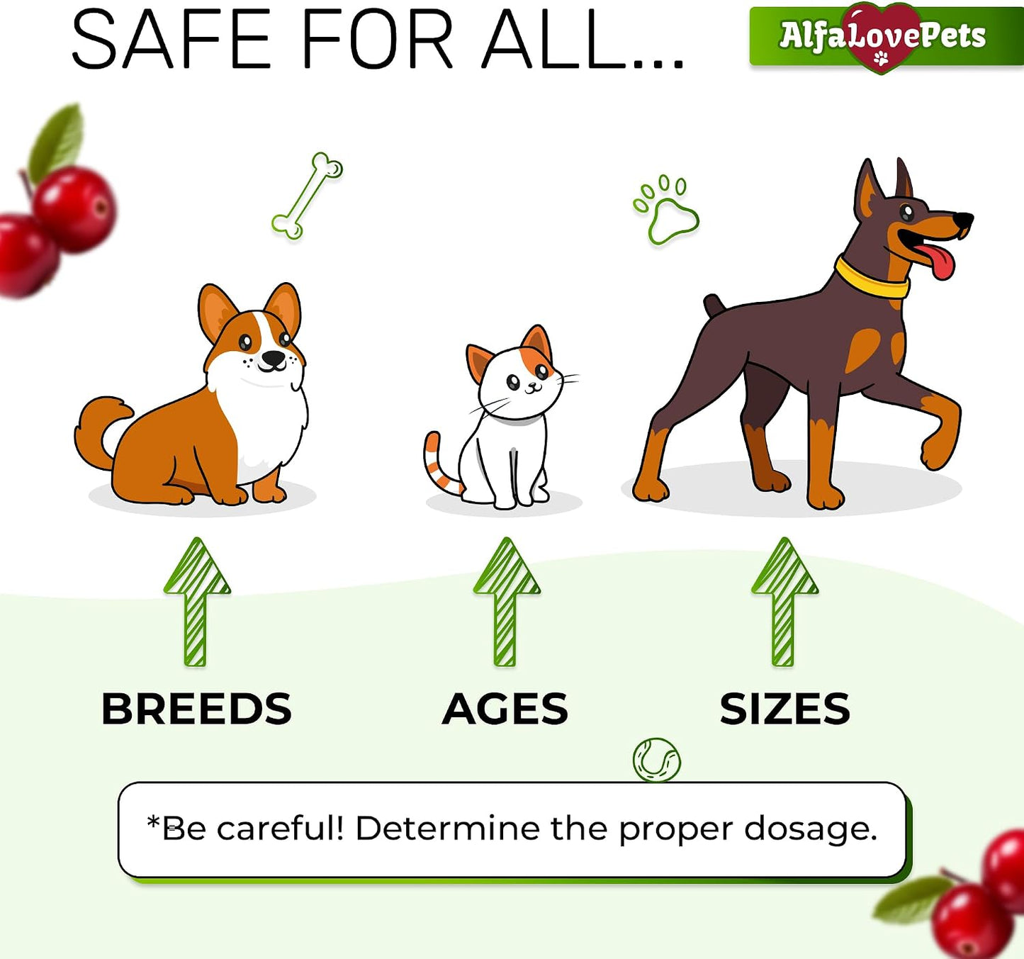 Alfa Love Pets Urinary Tract Support for Cats and Dogs - Cranberry Supplement - 2 oz - görsel 5