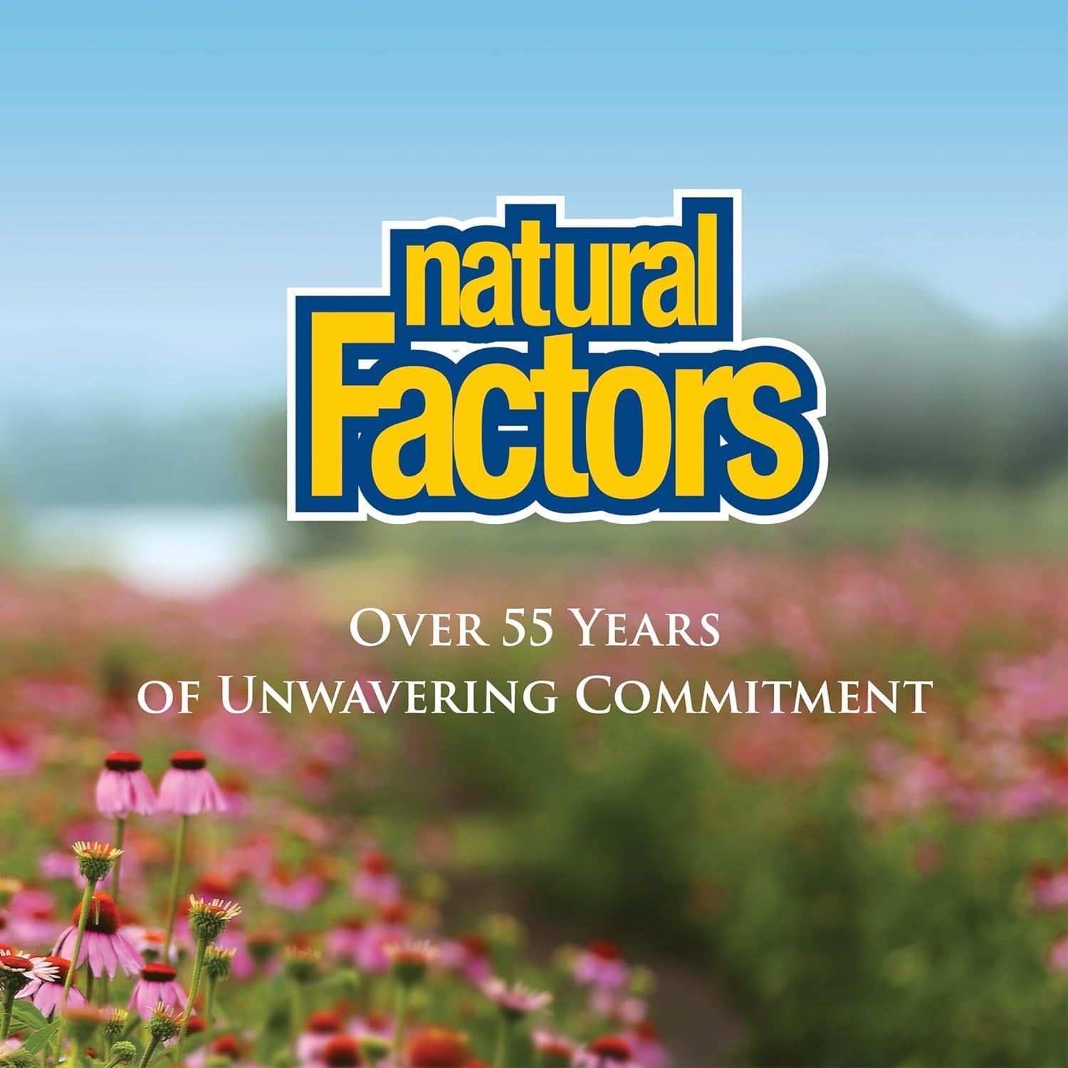 Natural Factors Vitamin C 1000mg Time Release – 90 Tablets - görsel 9