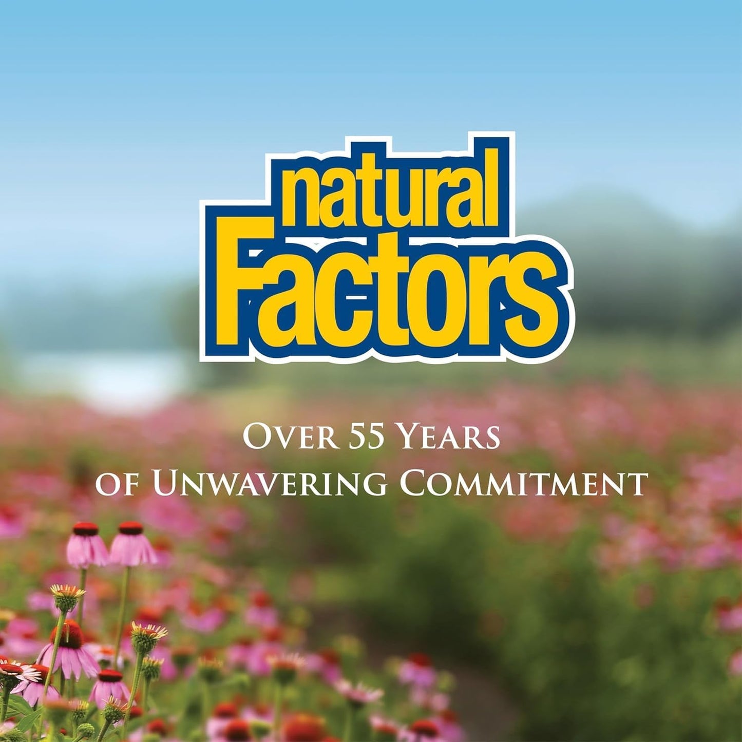 Natural Factors Vitamin C Slow Release – 1000 mg, 180 Tablets - görsel 9