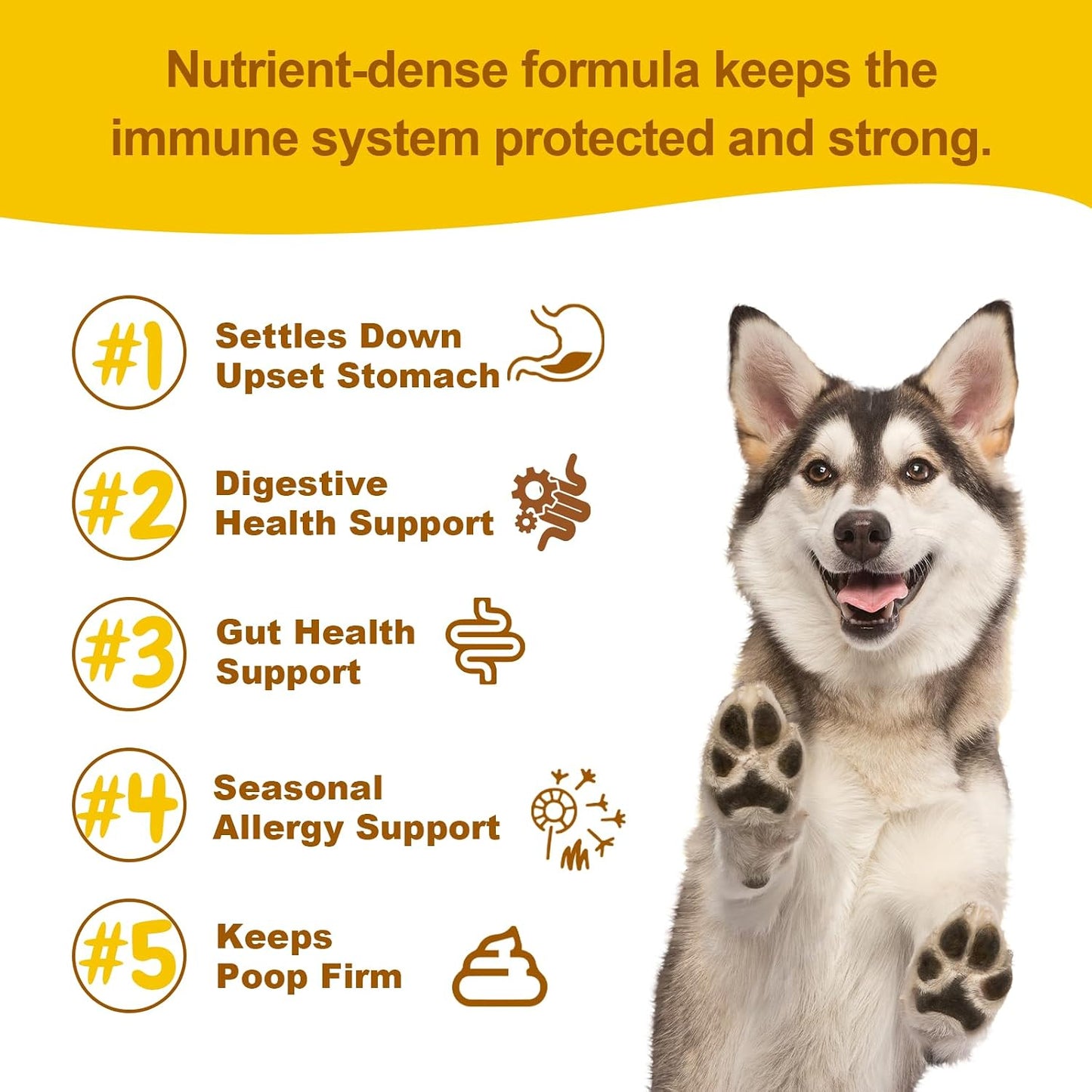Vet Strength Probiotics for Dogs - Fast Relief for Diarrhoea, Gas & Upset Stomach - Maximum Gut, Immune & Allergy Support - Pumpkin Flavour Soft Chews for All Breeds, 90 Count - görsel 5