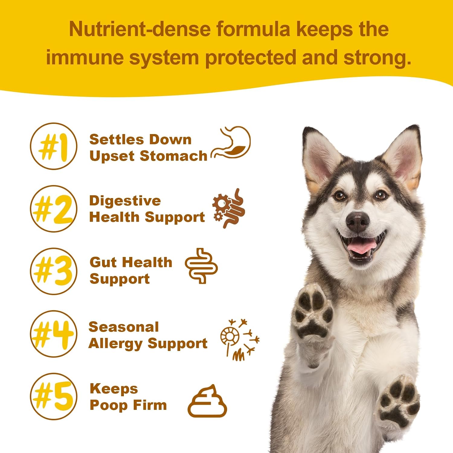 Vet Strength Probiotics for Dogs - Fast Relief for Diarrhoea, Gas & Upset Stomach - Maximum Gut, Immune & Allergy Support - Pumpkin Flavour Soft Chews for All Breeds, 90 Count - görsel 5