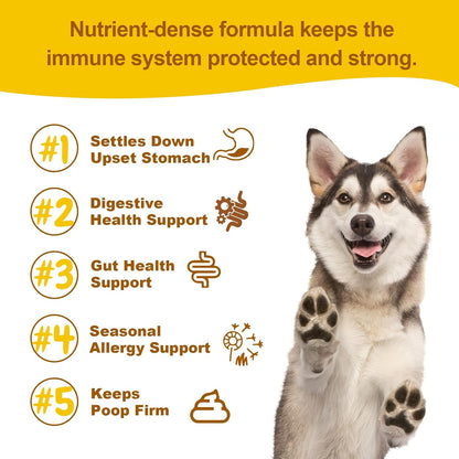 Vet Strength Probiotics for Dogs - Fast Relief for Diarrhoea, Gas & Upset Stomach - Maximum Gut, Immune & Allergy Support - Pumpkin Flavour Soft Chews for All Breeds, 90 Count