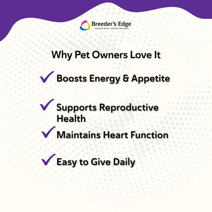 Breeder's Edge B Strong Liquid – Vitamin B Supplement for Dogs and Cats (32 oz)