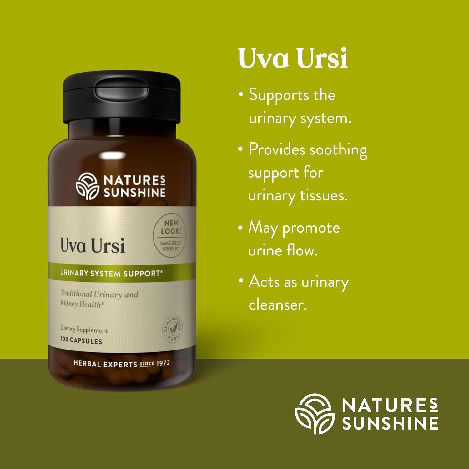 Uva Ursi - 100 Capsules - görsel 4