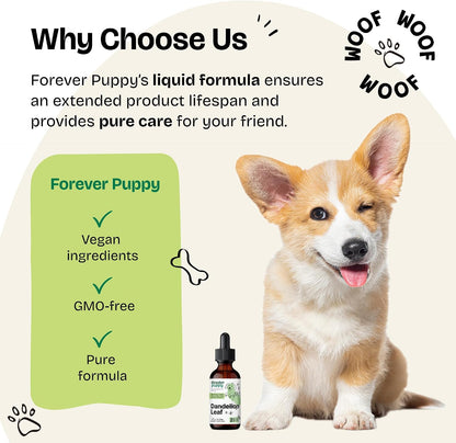 Forever Puppy Dandelion Leaf Drops for Dogs - Liquid Herbal Supplement for Kidney Support, 60 ml