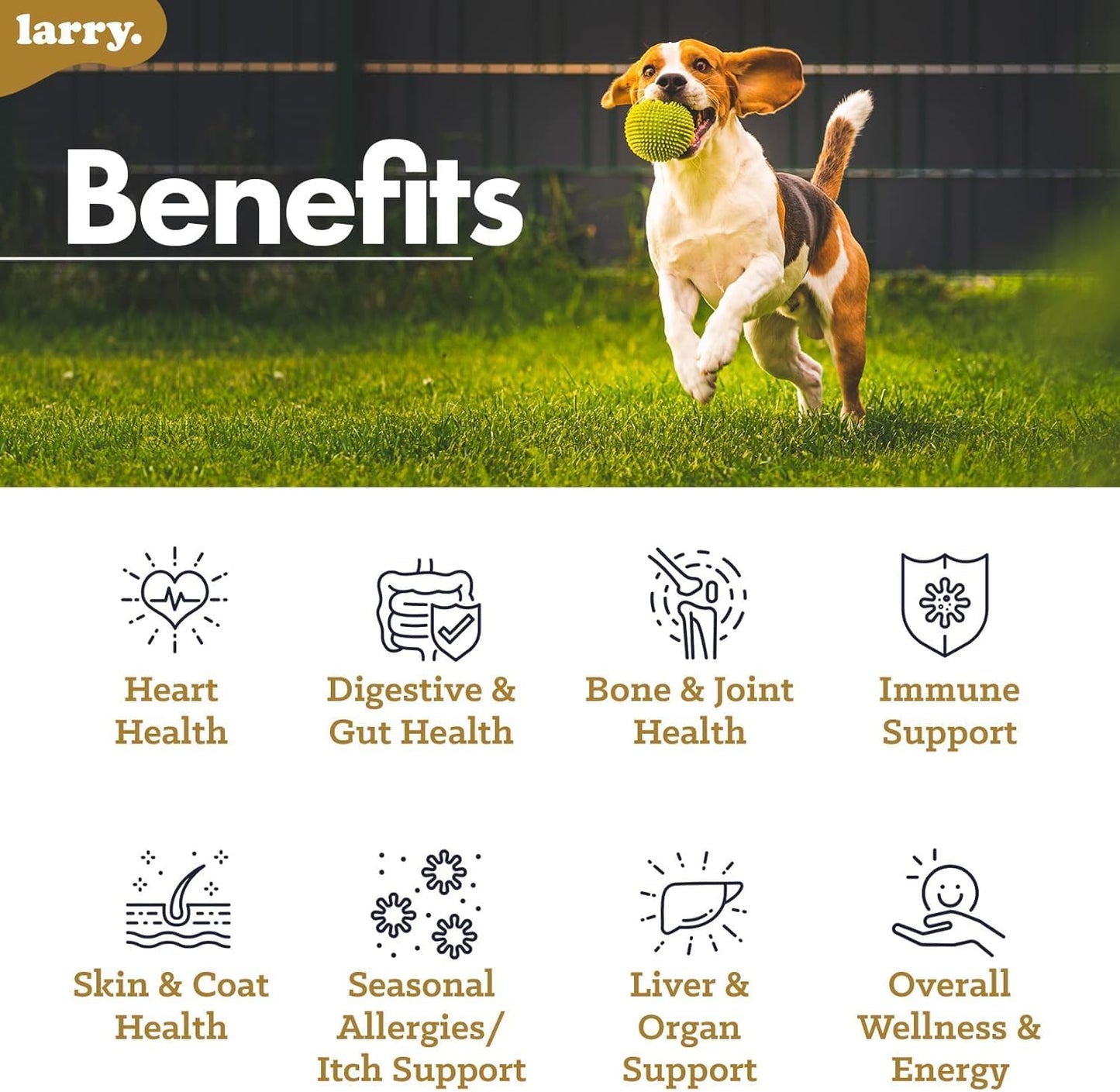Larry 8-in-1 Multivitamin for Dogs | Heart, Digestion, Liver, Skin, Coat, & Joint Support | 60 Soft Chews - görsel 3