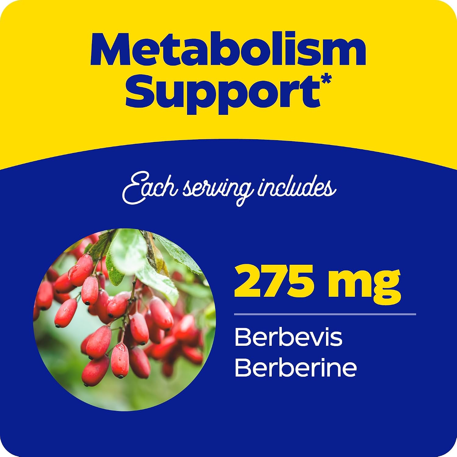 Enzymedica Berberine Phytosome - High Absorption Supplement, 60 Capsules - görsel 4