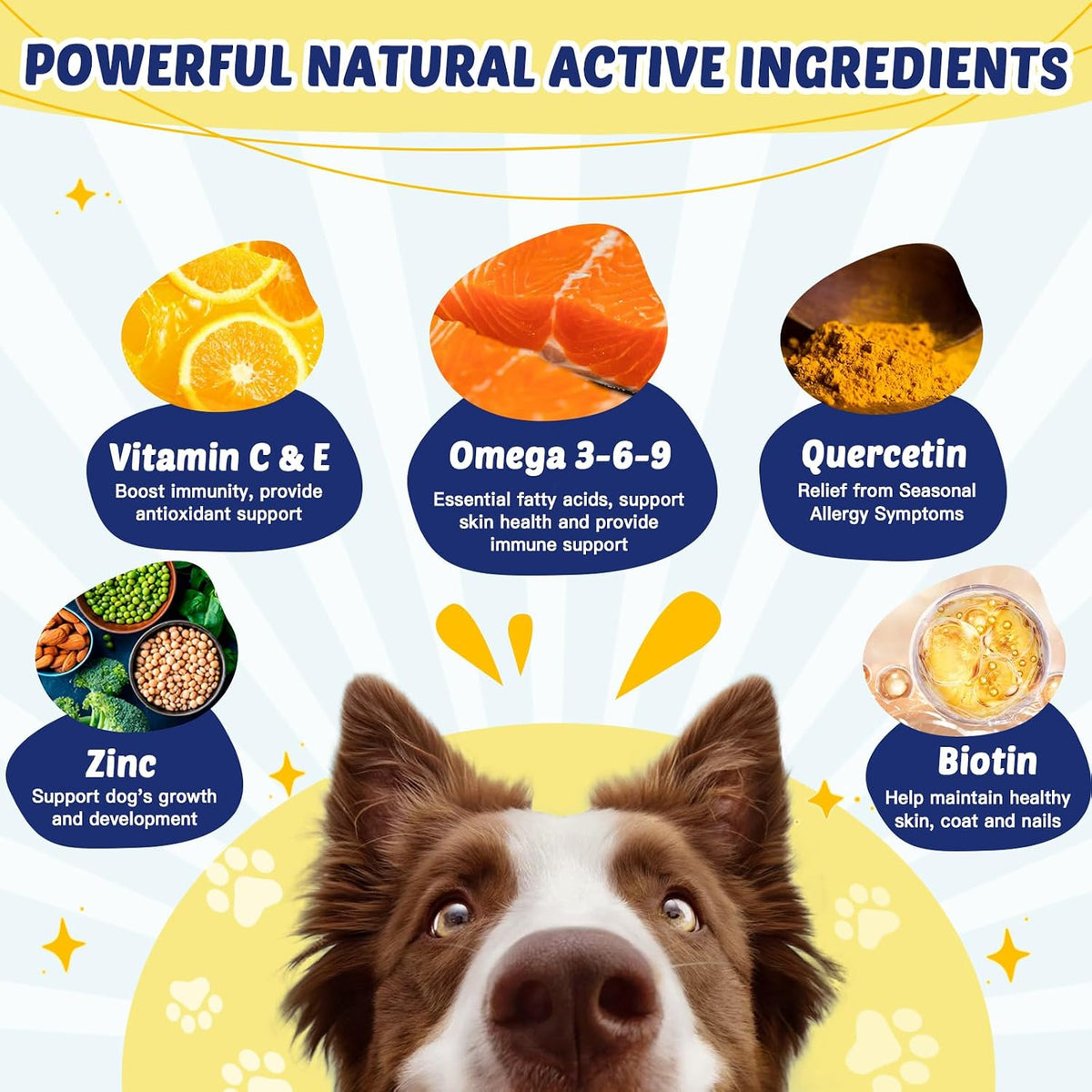 Omega-3 for Dogs with Salmon Oil, 120 Chewable Fish Oil Chews - görsel 2