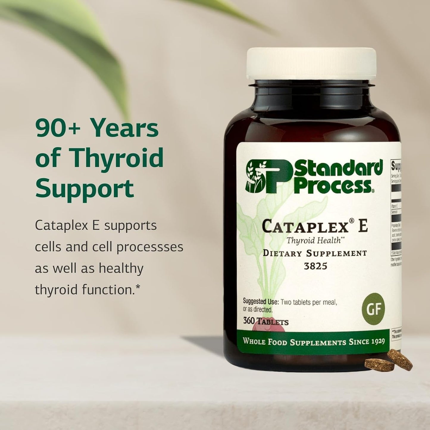 Standard Process Cataplex E Thyroid Health Dietary Supplement - Gluten-Free, Non-Dairy & Non-Soy - Endocrine Gland Health Support - 360 Tablets - görsel 3