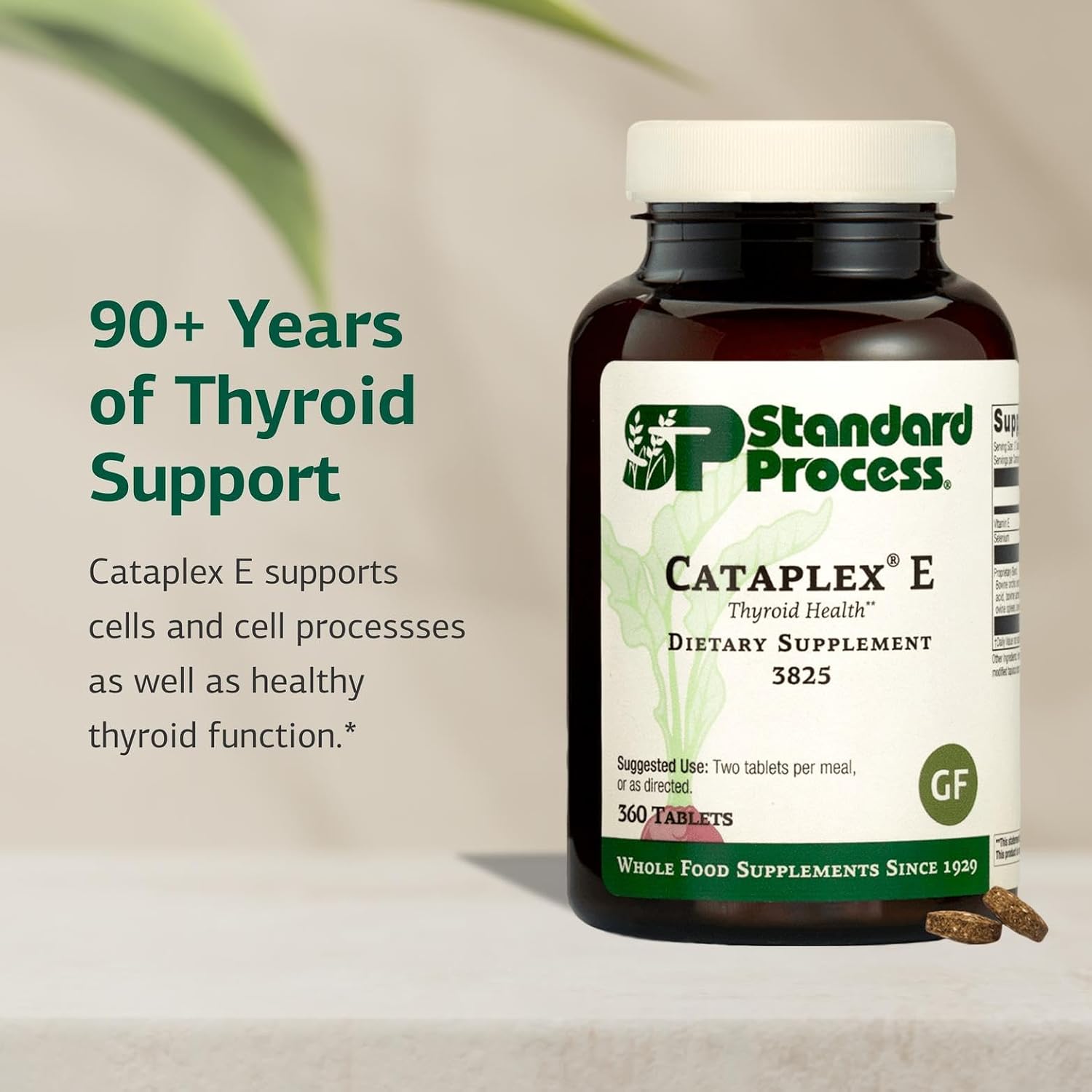 Standard Process Cataplex E Thyroid Health Dietary Supplement - Gluten-Free, Non-Dairy & Non-Soy - Endocrine Gland Health Support - 360 Tablets - görsel 3