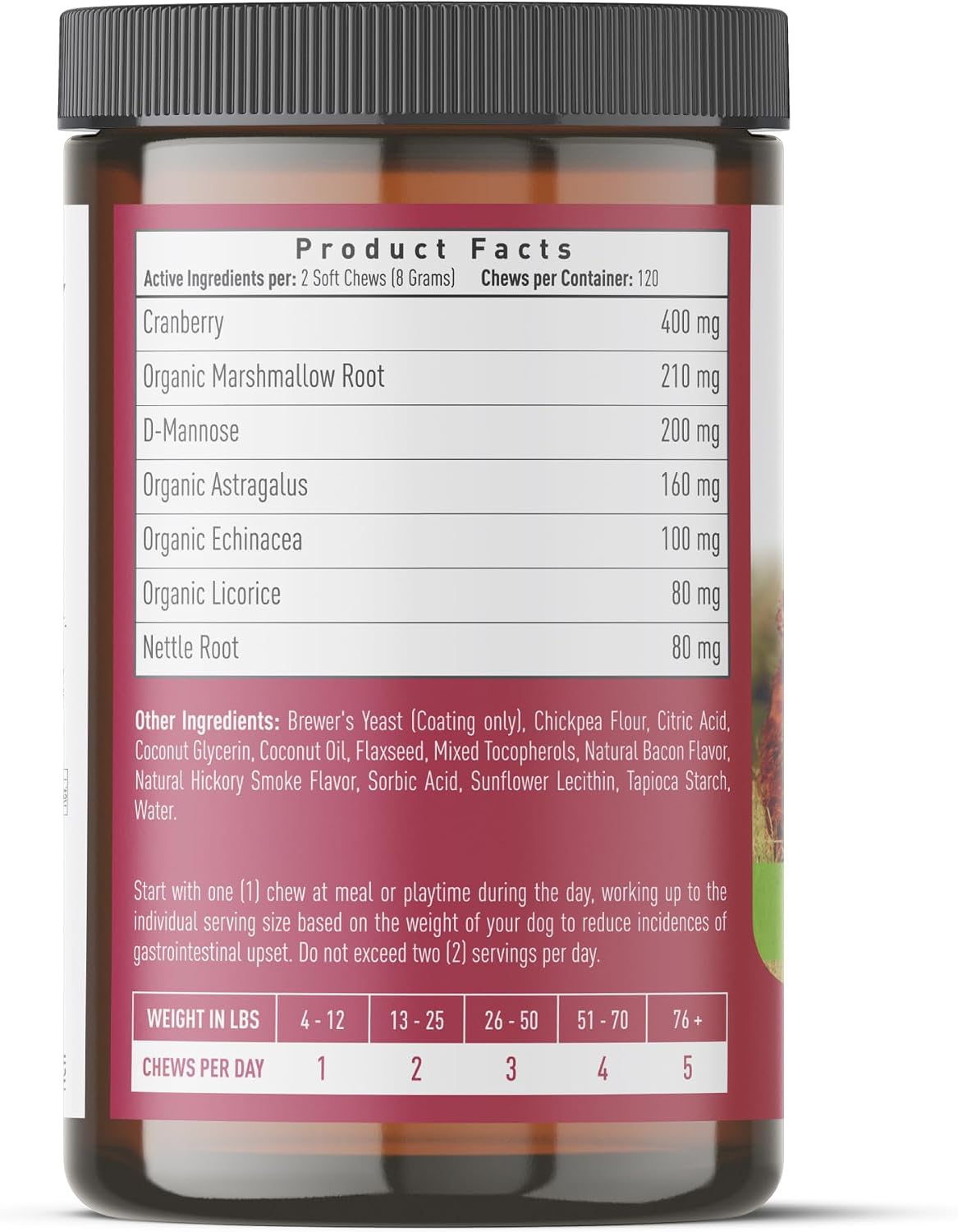 Strawfield Pets Cranberry Bladder and UTI Chews for Dogs - D-Mannose + Vitamin C for Urinary Tract Support, Bacon Flavoured Soft Chews (120 count) - görsel 10