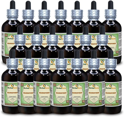 Shankhpushpi (Convolvulus Pluricaulis) Alcohol-Free Liquid Extract, Glycerite, 4 oz (120 ml) [20 Pack]