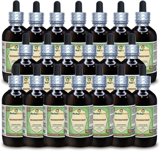 Shankhpushpi (Convolvulus Pluricaulis) Alcohol-Free Liquid Extract, Glycerite, 4 oz (120 ml) [20 Pack]