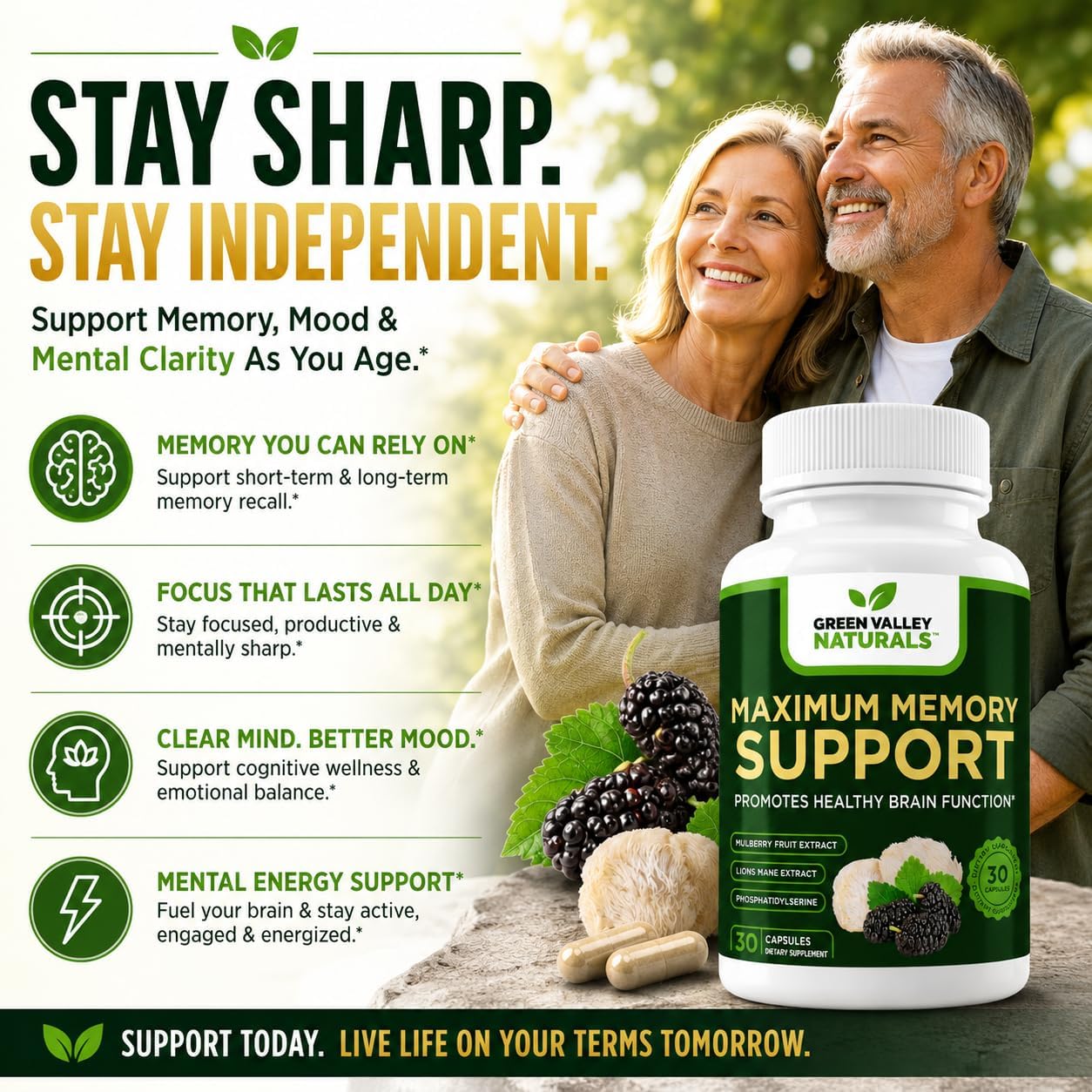 Green Valley Naturals Maximum Memory Support | Cognitive Formula with Lion's Mane, Mulberry, Phosphatidylserine & Methylated B Vitamins | 30 Capsules - görsel 3