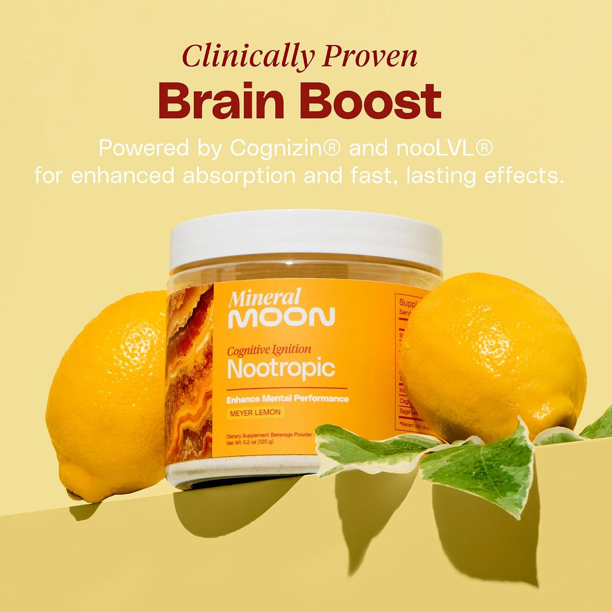 Premium Cognitive Ignition Nootropic Powder – Brain Supplement for Memory and Focus - görsel 4