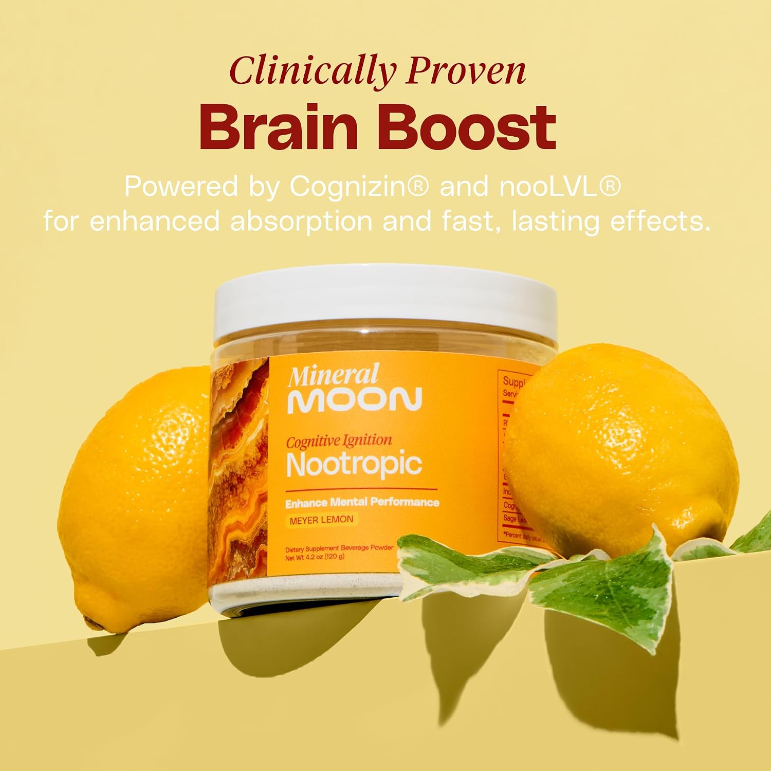 Premium Cognitive Ignition Nootropic Powder – Brain Supplement for Memory and Focus - görsel 4