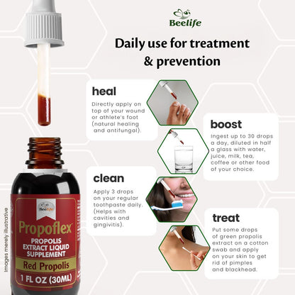 Beelife Red Bee Propolis Extract - 100% Pure Brazilian Tincture, High Artepillin-C, Immune Support (30 ml)