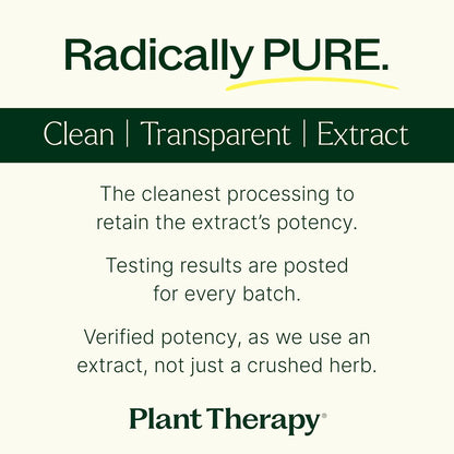 Plant Therapy Moringa Herbal Supplement Capsules, Supports Whole-Body Wellness, Energising (already correct) & Immune-Supporting, Naturally Nutritious, 120 Vegetarian Capsules (4-Month Supply), Made in the USA