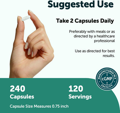 Micro Ingredients L-Tyrosine 1,000 mg, 240 Capsules – Amino Acid Supplement, Non-GM