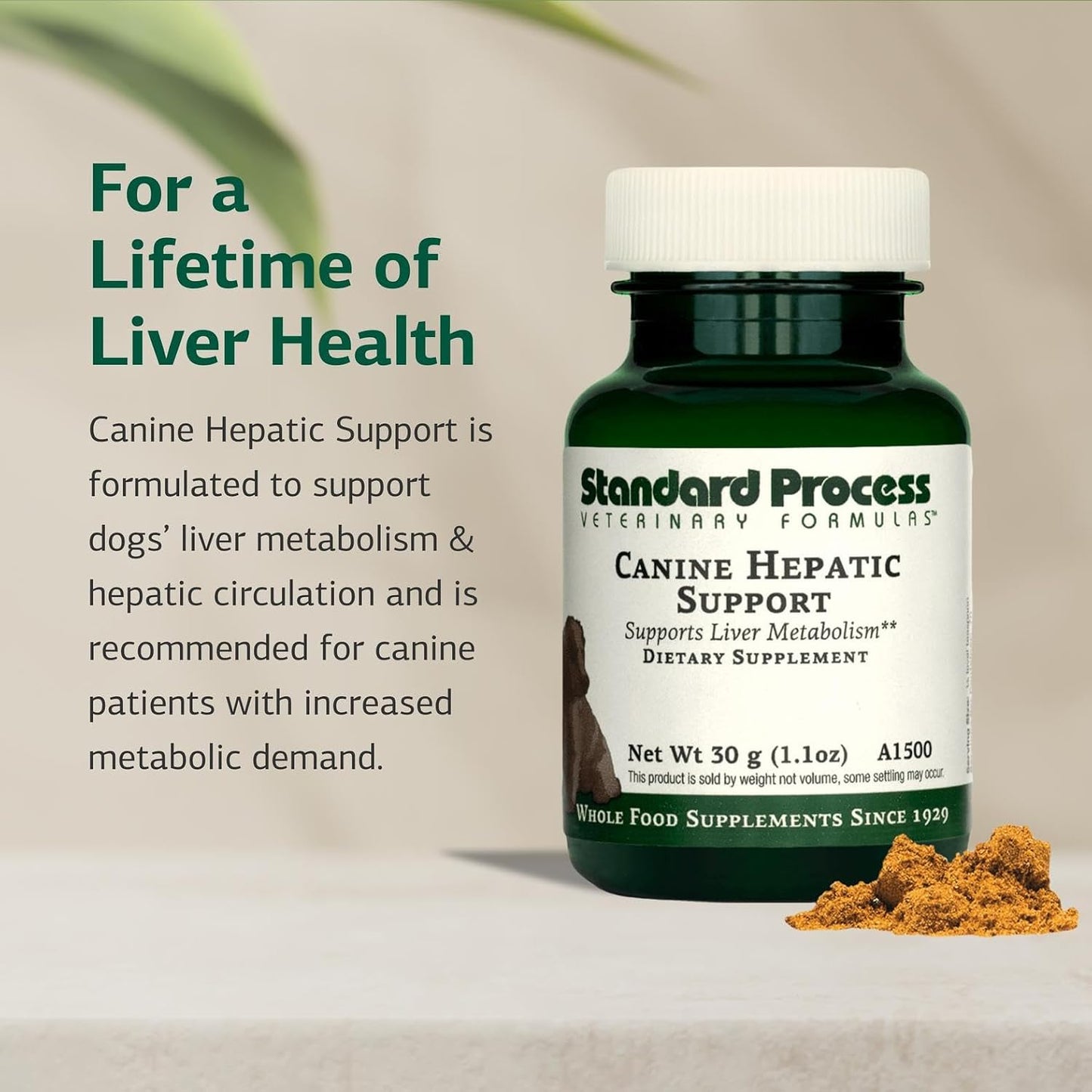 Standard Process Canine Hepatic Support – Dog Supplement for Liver Health – Powder – 30 g - görsel 3