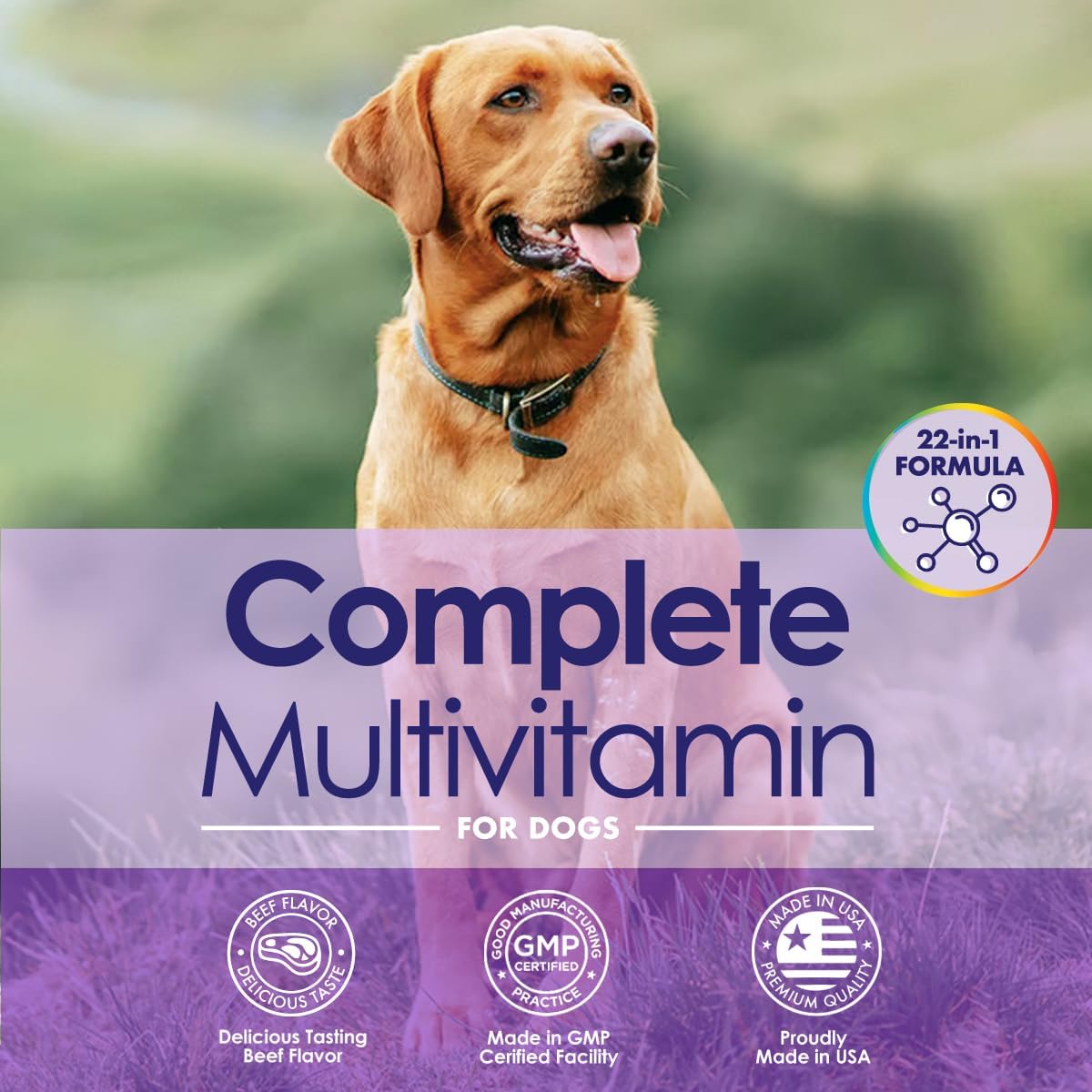 NuLife Natural Pet Health Dog Multivitamin Chewable - 22-in-1 with Green Lipped Mussel & Omega-3 - 60 Beef Chews - görsel 2