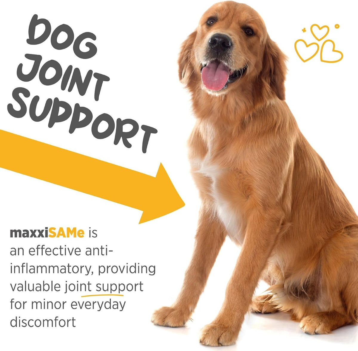 maxxiSAMe Advanced SAM-e Powder Supplement - Liver, Cognitive & Joint Support for Dogs, 150g - görsel 4