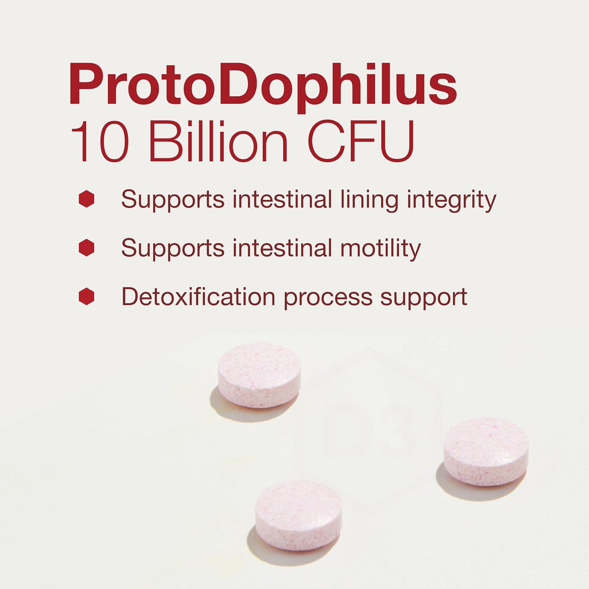 PROTOCOL FOR LIFE BALANCE Chewable Protodophilus - 10 Billion CFU Probiotic - Chewable Tablet for Adults & Kids - for Digestive Health & Immune Support* - Vegan & Halal - 60 Chewables - görsel 4