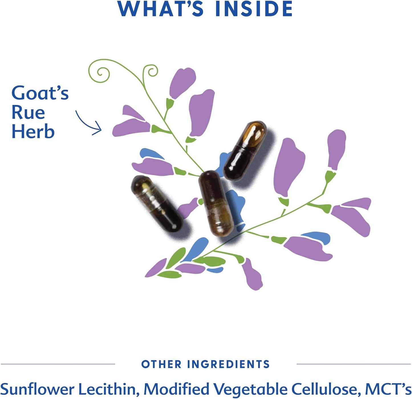 Motherlove Goat's Rue – Organic Lactation Supplement, 120 Liquid Capsules - görsel 3