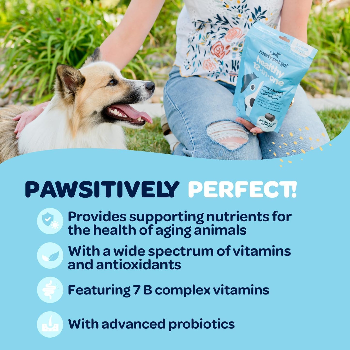 12-in-1 Complete Multivitamin for Dogs - Glucosamine, Chondroitin, Probiotics - NASC Certified - 90 Chews - görsel 5