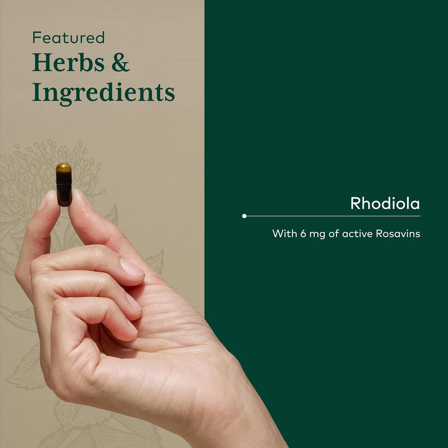 Gaia Herbs PRO Rhodiola Root Extract – Adaptogen & Energy Support – 60 Phyto-Caps - görsel 4