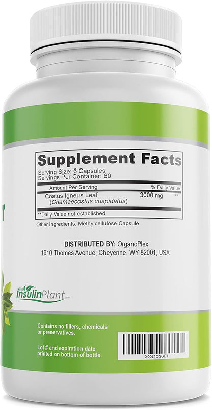 ORGANOPLEX Insulin Plant Capsules (Costus Igneus) – 100% Natural Supplement, 360 Veggie Caps (2 Month Supply)