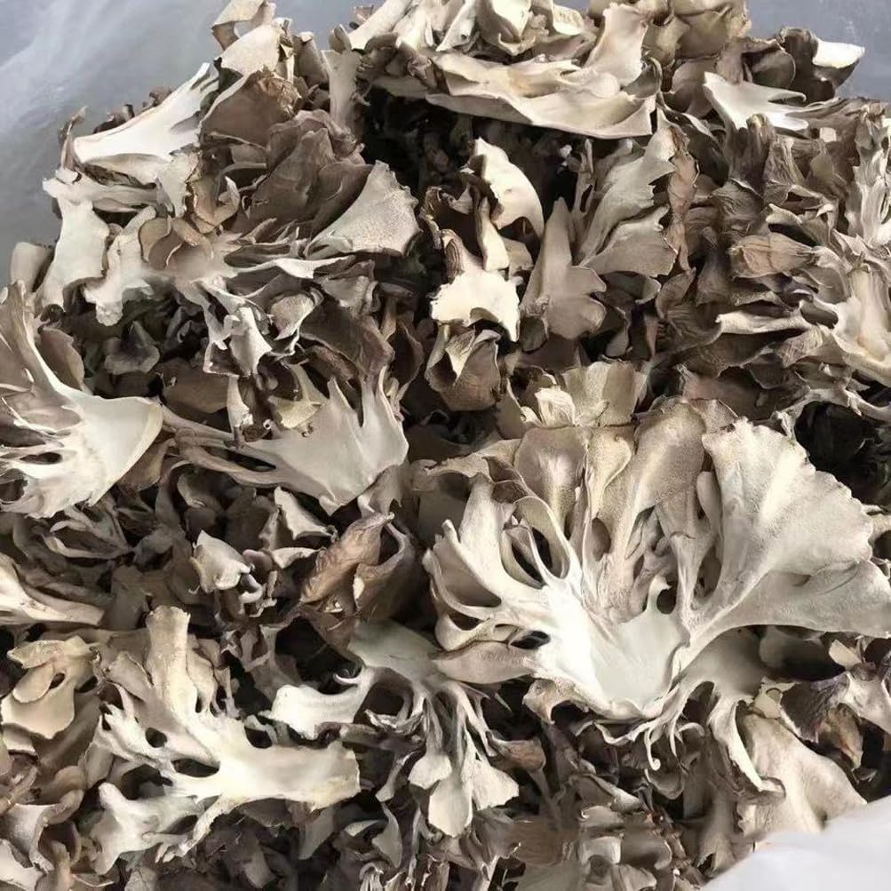 Maitake Mushroom Huishuhua (1000g) - görsel 1