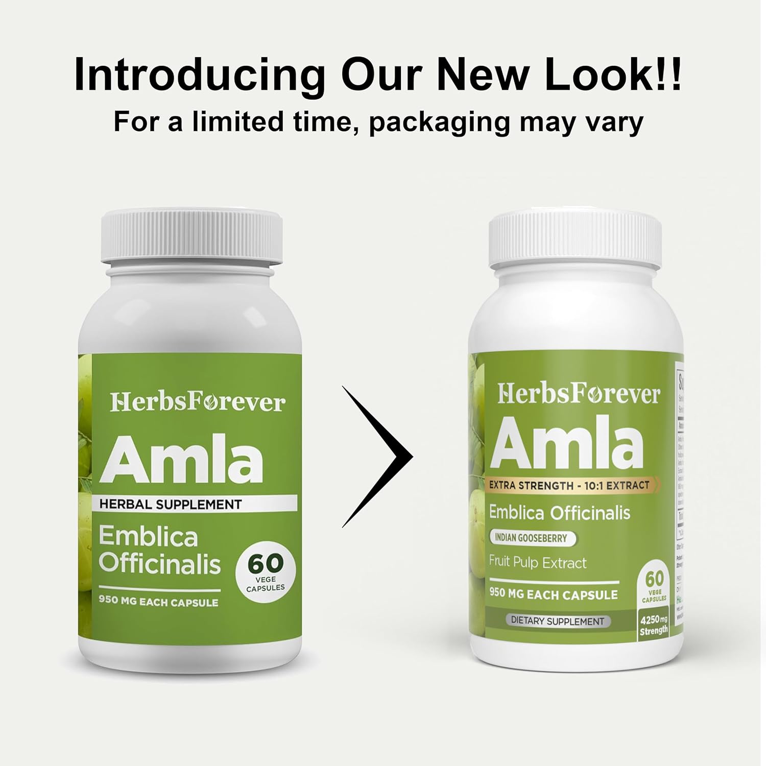 Herbsforever Amla (Indian Gooseberry) Powder - 950mg per Serving, 60 Veg Capsules - görsel 5